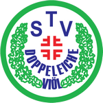 TSV DE Viöl II